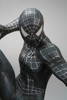 bl_spiderman10.jpg