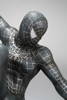 bl_spiderman11.jpg